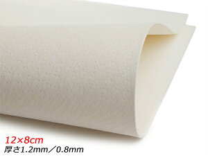 y؂vzsbO  12×8cm 1.2mm/0.8mm 1y[֑Iz [ς] U[Ntg؂viJbgU[j ؂vi؊vj