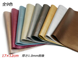 y؂vzh_C ^bN S9F 17×12cm 1.0mmO 1y[֑Iz [U[Ntgς] U[Ntg؂viJbgU[j Ԑ؂viN[j