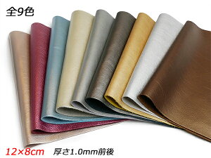 y؂vzh_C ^bN S9F 12×8cm 1.0mmO 1y[֑Iz [U[Ntgς] U[Ntg؂viJbgU[j Ԑ؂viN[j