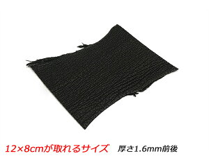 y؂vzV[NtXL  12×8cmTCY 1.6mmO 1y[֑Iz [U[Ntgς] U[Ntg؂viJbgU[j Tv tBbVU[