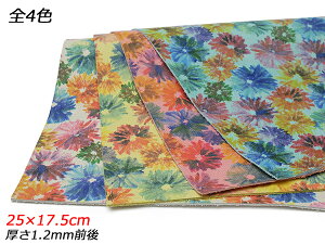 y؂vzɍʉԁivgHj S4F 25×17.5cm 1.2mmO 1y[֑Iz [U[Ntgς] U[Ntg؂viJbgU[j Ԑ؂viN[j