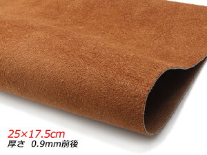 y؂vzfjU[ uE 25×17.5cm 0.9mmO 1y[֑Iz [U[Ntgς] U[Ntg؂viJbgU[j ؂viN[j