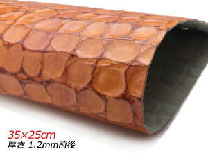 y؂vz^NR Gi AeB[NIW 35×25cm 1.2mmO 1[U[Ntgς] U[Ntg؂viJbgU[j ؂viN[j