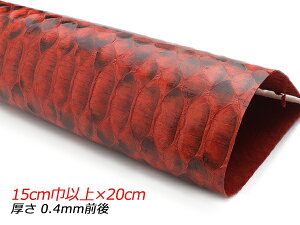 y؂vz_ChpC\iPALETTEjobNJbg @[~I 15cmЈȏ×20cm 0.4mmO 1y[֑Iz [ς] U[Ntg؂viJbgU[j ؂vipC\