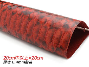 y؂vz_ChpC\iPALETTEjobNJbg @[~I 20cmЈȏ×20cm 0.4mmO 1y[֑Iz [ς] U[Ntg؂viJbgU[j ؂vipC\