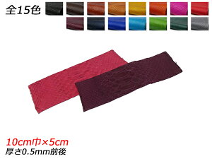 y؂vz\tg}bgpC\ obNJbgiPALETTEj S15F 10cm×5cm 0.5mmO 1y[֑Iz [ς] U[Ntg؂viJbgU[j ؂vipC\j