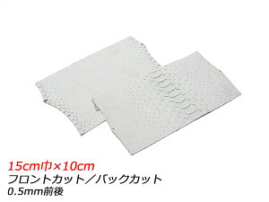 y؂vzzCgpC\iPALETTEj  tgJbg/obNJbg 15cm×10cm 0.5mmO 1y[֑Iz [ς] U[Ntg؂viJbgU[j ؂vipC\j