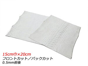 y؂vzzCgpC\iPALETTEj  tgJbg/obNJbg 15cm×20cm 0.5mmO 1y[֑Iz [ς] U[Ntg؂viJbgU[j ؂vipC\j