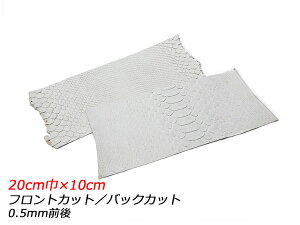 y؂vzzCgpC\iPALETTEj  tgJbg/obNJbg 20cm×10cm 0.5mmO 1y[֑Iz [ς] U[Ntg؂viJbgU[j ؂vipC\j