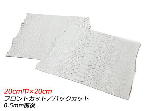 y؂vzzCgpC\iPALETTEj  tgJbg/obNJbg 20cm×20cm 0.5mmO 1y[֑Iz [ς] U[Ntg؂viJbgU[j ؂vipC\j