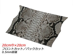 y؂vz_ChpC\ obNJbgiPALETTEj i` 20cm×20cm 0.5mmO 1y[֑Iz [ς] U[Ntg؂viJbgU[j ؂vipC\j