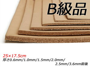 yB؂vzȖؖ{k n 25×17.5cm 0.6mm/1.0mm/1.5mm/2.0mm/2.5mm/3.6mmO 1y[֑Iz [U[Ntgς] U[Ntg؂viJbgU[j kviԁj