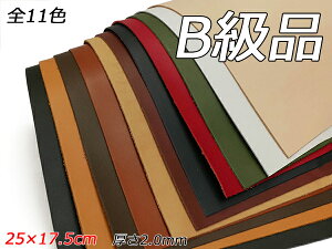 yB؂vzBZg S11F 25×17.5cm 2.0mm 1y[֑Iz [U[Ntgς] U[Ntg؂viJbgU[j Ԑ؂viBij