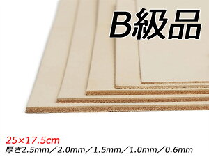 yB؂vzkX[X n 25×17.5cm 0.6mm/1.0mm/1.5mm/2.0mm/2.5mm 1y[֑Iz [U[Ntgς] U[Ntg؂viJbgU[j Ԑ؂viBij