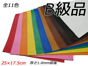 yB؂vzh_C S11F 25×17.5cm 1.0mmO 1y[֑Iz [U[Ntgς] U[Ntg؂viJbgU[j Ԑ؂viBij