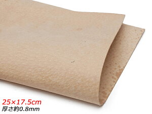 y؂vz؏ n 25×17.5cm 0.8mm 1y[֑Iz [U[Ntgς] U[Ntg؂viJbgU[j ؂vivj