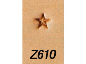 XyVX^v Z610 4mmy[֑Iz [Ntg] U[Ntg iA`Zj/Ntg