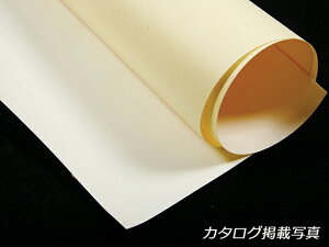 ʐڒV[g i[gj  59cm 0.3mm 1m[Ntg] U[Ntg ʐڒV[g