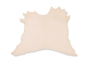 S[g^[iRrvj n 65fV 1.3mmO fVP121~iōj Sفyz [iG] [iϓi] U[Ntg 1v r Rrv