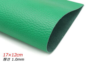 y؂vz[  17×12cm 1.0mm 1y[֑Iz [U[Ntgς] U[Ntg؂viJbgU[j N[vij