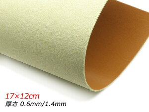 y؂vzsOgX[X R 17×12cm 0.6mm/1.4mm 1y[֑Iz [U[Ntgς] U[Ntg؂viJbgU[j kvij