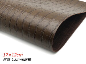 y؂vz^X[NR `R 17×12cm 1.0mmO 1y[֑Iz [U[Ntgς] U[Ntg؂viJbgU[j N[vij