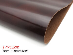 y؂vzߋX[X AeB[N`R[g 17×12cm 1.0mmO 1y[֑Iz [U[Ntgς] U[Ntg؂viJbgU[j N[vij