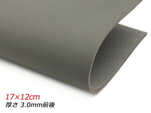 y؂vzk X[X Gt@g 17×12cm 3.0mmO 1y[֑Iz [U[Ntgς] U[Ntg؂viJbgU[j kvij