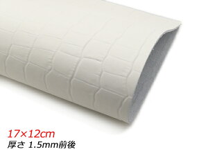 y؂vz^X[NR  17×12cm 1.5mmO 1y[֑Iz [U[Ntgς] U[Ntg؂viJbgU[j N[vij