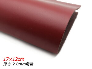 y؂vzX[X  17×12cm 2.0mmO 1y[֑Iz [U[Ntgς] U[Ntg؂viJbgU[j N[vij