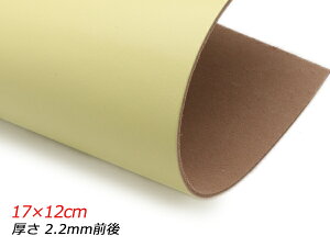 y؂vzkgbvR[g CG[ 17×12cm 2.2mmO 1y[֑Iz [U[Ntgς] U[Ntg؂viJbgU[j kvij