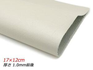 y؂vz\tg ~H x[W 17×12cm 1.0mmO 1y[֑Iz [U[Ntgς] U[Ntg؂viJbgU[j N[vij