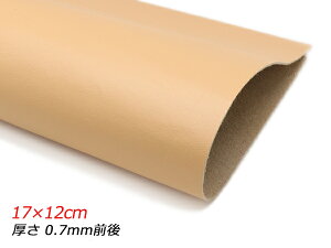 y؂vz\tg pXeIW 17×12cm 0.7mmO 1y[֑Iz [U[Ntgς] U[Ntg؂viJbgU[j ؂viN[j