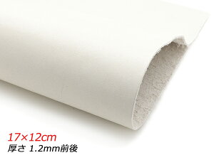 y؂vzbNXN[ ~H  17×12cm 1.2mmO 1y[֑Iz [U[Ntgς] U[Ntg؂viJbgU[j N[vij