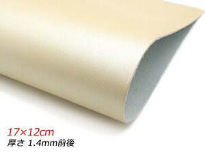 y؂vzX[X p[v`i 17×12cm 1.4mmO 1y[֑Iz [U[Ntgς] U[Ntg؂viJbgU[j N[vij