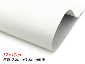 y؂vz\tg  17×12cm 0.5mm/1.0mmO 1y[֑Iz [U[Ntgς] U[Ntg؂viJbgU[j N[vij