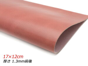 y؂vzbNXN[ T[sN 17×12cm 1.3mmO 1y[֑Iz [U[Ntgς] U[Ntg؂viJbgU[j N[vij