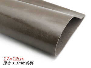 y؂vzA`bNX[X O[J[L 17×12cm 1.1mmO 1y[֑Iz [U[Ntgς] U[Ntg؂viJbgU[j N[vij