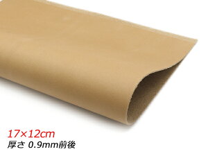 y؂vzN[Cg L 17×12cm 0.9mmO 1y[֑Iz [U[Ntgς] U[Ntg؂viJbgU[j N[vij