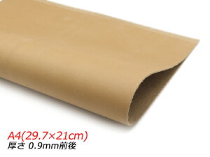 y؂vzN[Cg L A4(29.7×21cm) 0.9mmO 1y[֑Iz [U[Ntgς] U[Ntg؂viJbgU[j N[vij