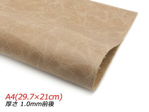 y؂vzbNXN[ ~H J A4(29.7×21cm) 1.0mmO 1y[֑Iz [U[Ntgς] U[Ntg؂viJbgU[j N[vij