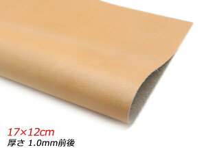 y؂vz\tg AeB[NIW 17×12cm 1.0mmO 1y[֑Iz [U[Ntgς] U[Ntg؂viJbgU[j N[vij