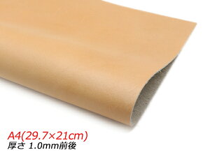 y؂vz\tg AeB[NIW A4(29.7×21cm) 1.0mmO 1y[֑Iz [U[Ntgς] U[Ntg؂viJbgU[j N[vij