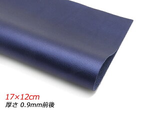 y؂vzh_CN[ ^bNlCr[ 17×12cm 0.9mmO 1y[֑Iz [U[Ntgς] U[Ntg؂viJbgU[j N[vij