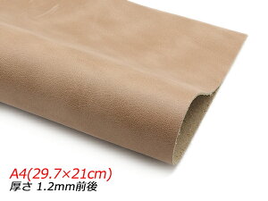 y؂vzN[Cg ^ A4(29.7×21cm) 1.2mmO 1y[֑Iz [U[Ntgς] U[Ntg؂viJbgU[j N[vij