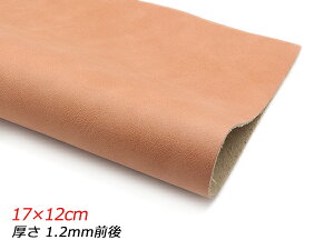 y؂vzN[Cg T[IW 17×12cm 1.2mmO 1y[֑Iz [U[Ntgς] U[Ntg؂viJbgU[j N[vij