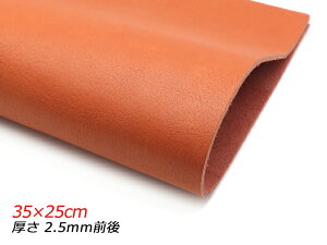 y؂vzVN  35×25cm 2.5mmO 1[U[Ntgς] U[Ntg؂viJbgU[j N[vij