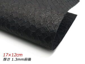 y؂vz^tBbVXPC }bgubN 17×12cm 1.3mmO 1y[֑Iz [U[Ntgς] U[Ntg؂viJbgU[j N[vij