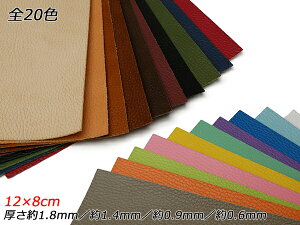 y؂vzV{A S20F 12×8cm 0.6mm/0.9mm/1.4mm/1.8mm 1y[֑Iz [U[Ntgς] U[Ntg؂viJbgU[j kviԁj