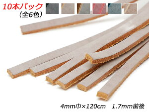 y10{pbNzS[Xg[XizCgbNXj //Œ///i` 4mm×120cm 1.7mmO 10{y[֑Iz [U[Ntgς] U[NtgvЂ [X k